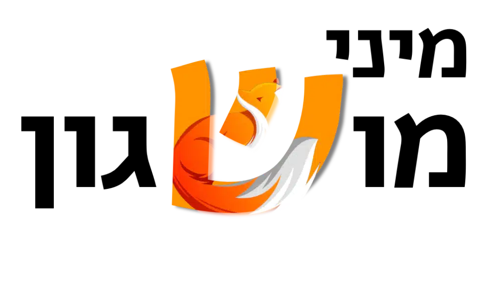 מיני מושגון