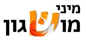 מיני מושגון